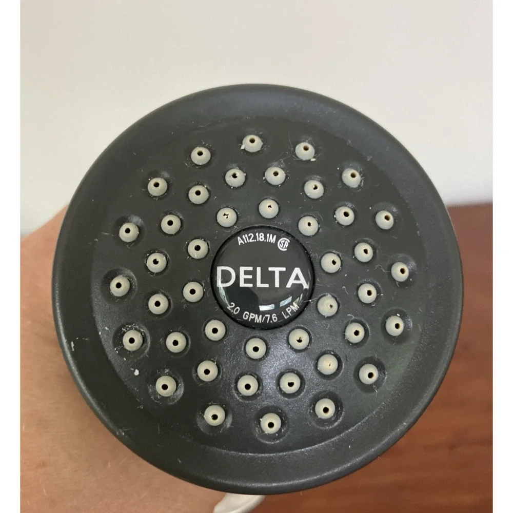 Delta Fundamentals RP38357 2.0 gpm Shiny Chrome Shower Head and 6